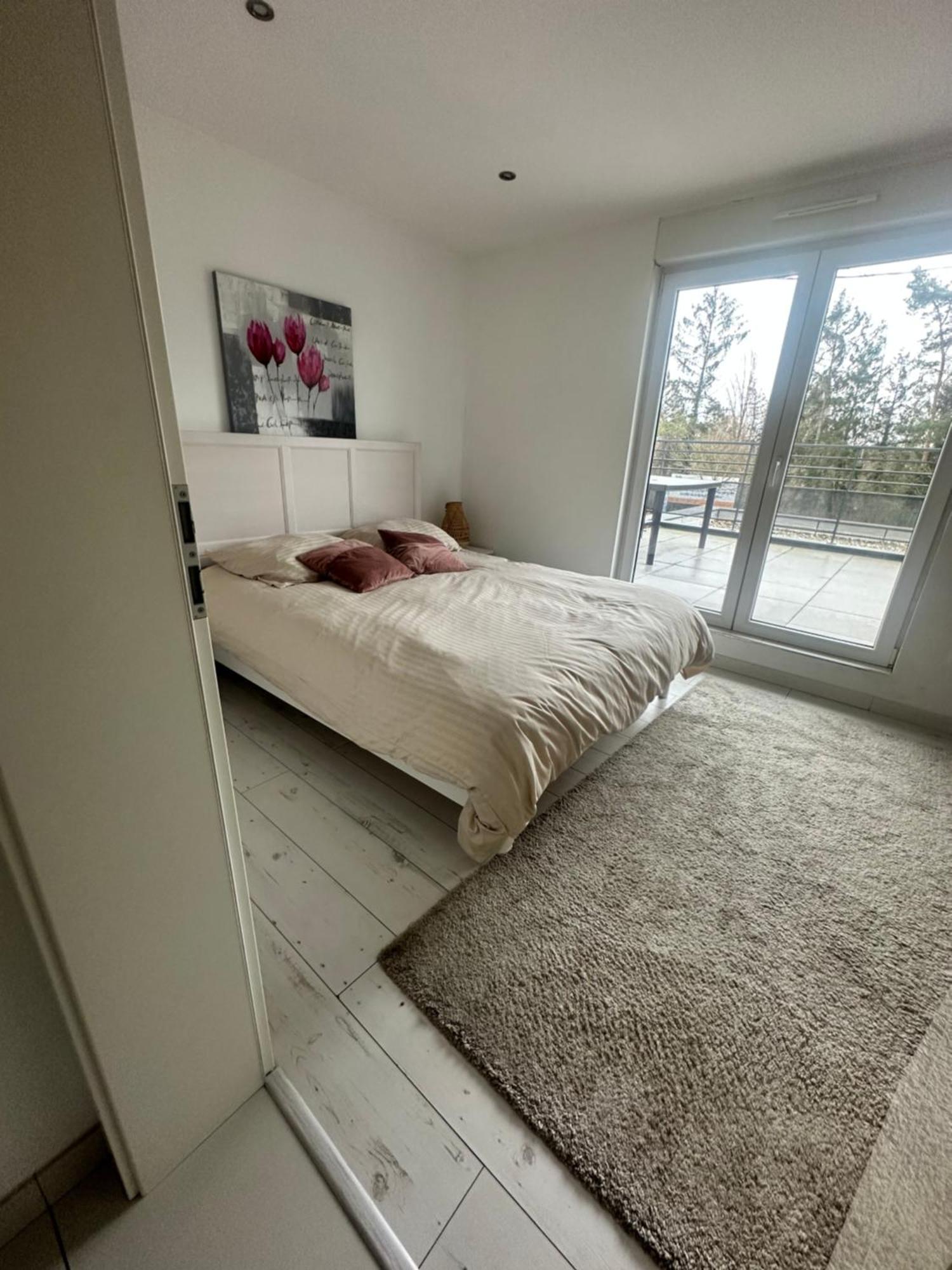Residence Foch Lingolsheim Εξωτερικό φωτογραφία