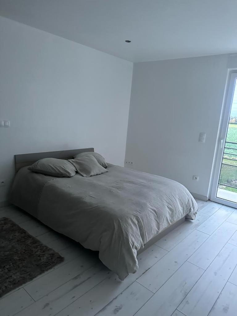 Residence Foch Lingolsheim Εξωτερικό φωτογραφία